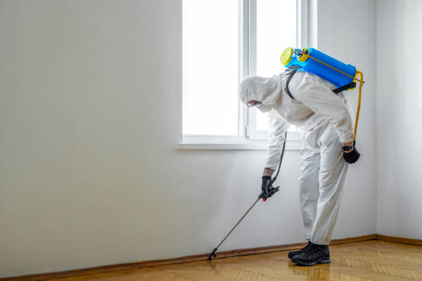 Trusted Carson City, MI Pest control Experts